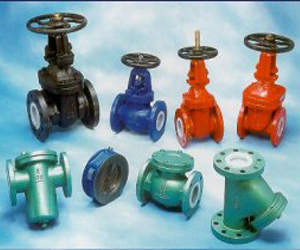 Valve & Strainer